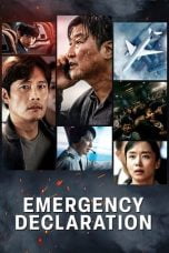 Emergency Declaration (Bisang seoneon) (2022)
